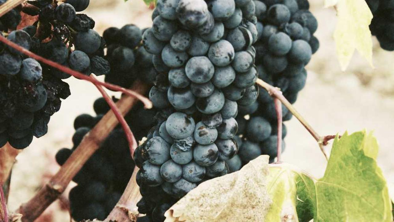 바이오디젤 완벽 가이드: 친환경 연료의 원리부터 차량 관리 팁까지