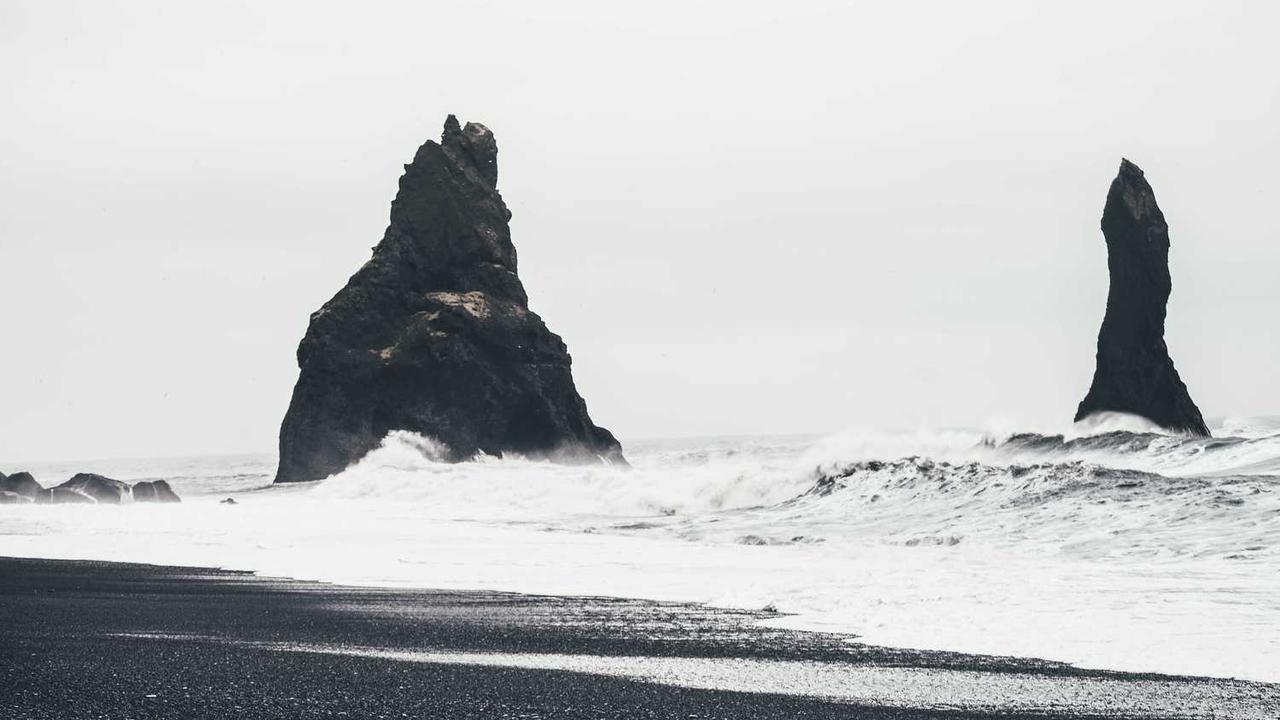 인소의 법칙 MBTI 완벽 분석: 함단이와 4대 천왕의 성격 유형 및 궁합 정리