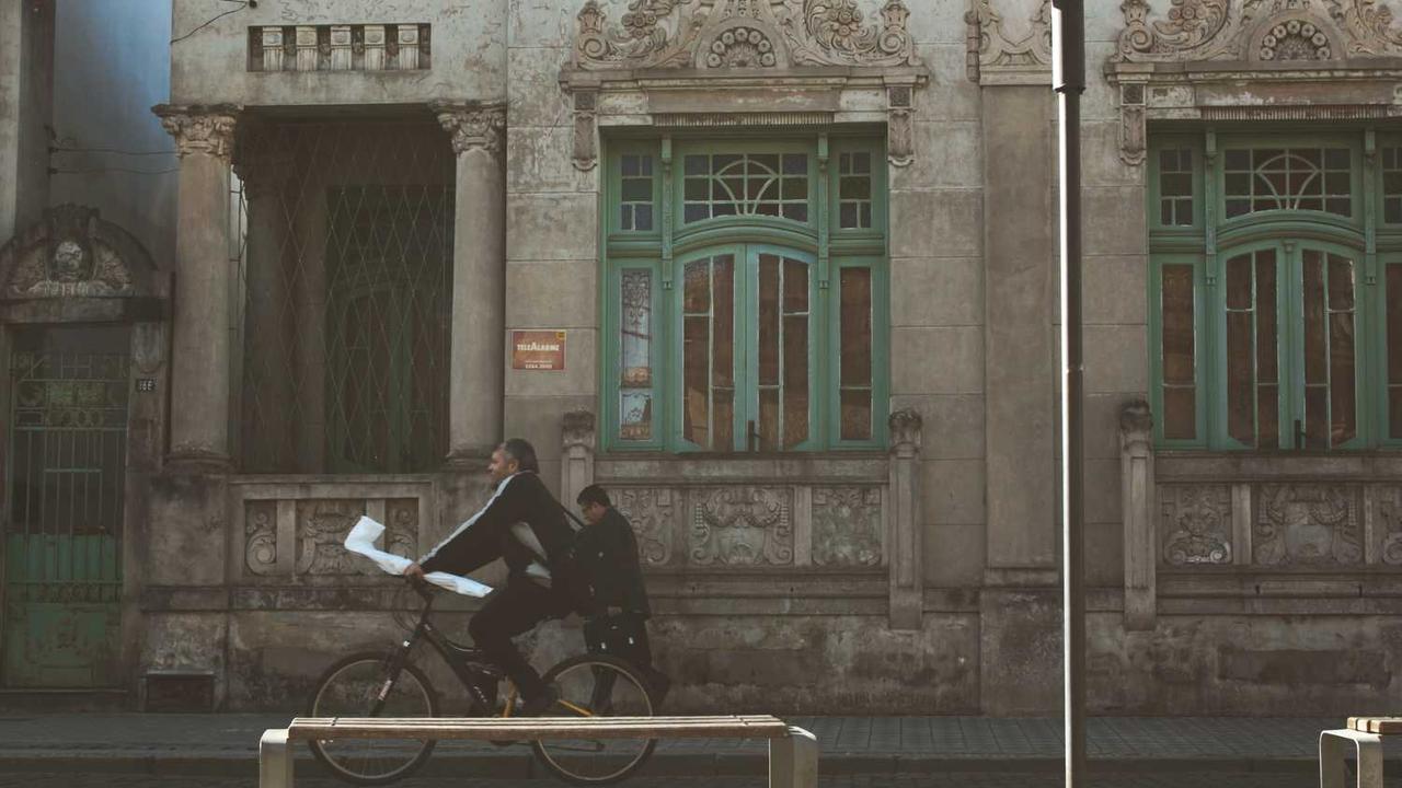 라운드랩 자작나무 선크림 더쿠 추천 이유: 5년 연속 1위의 비밀과 솔직 후기 총정리