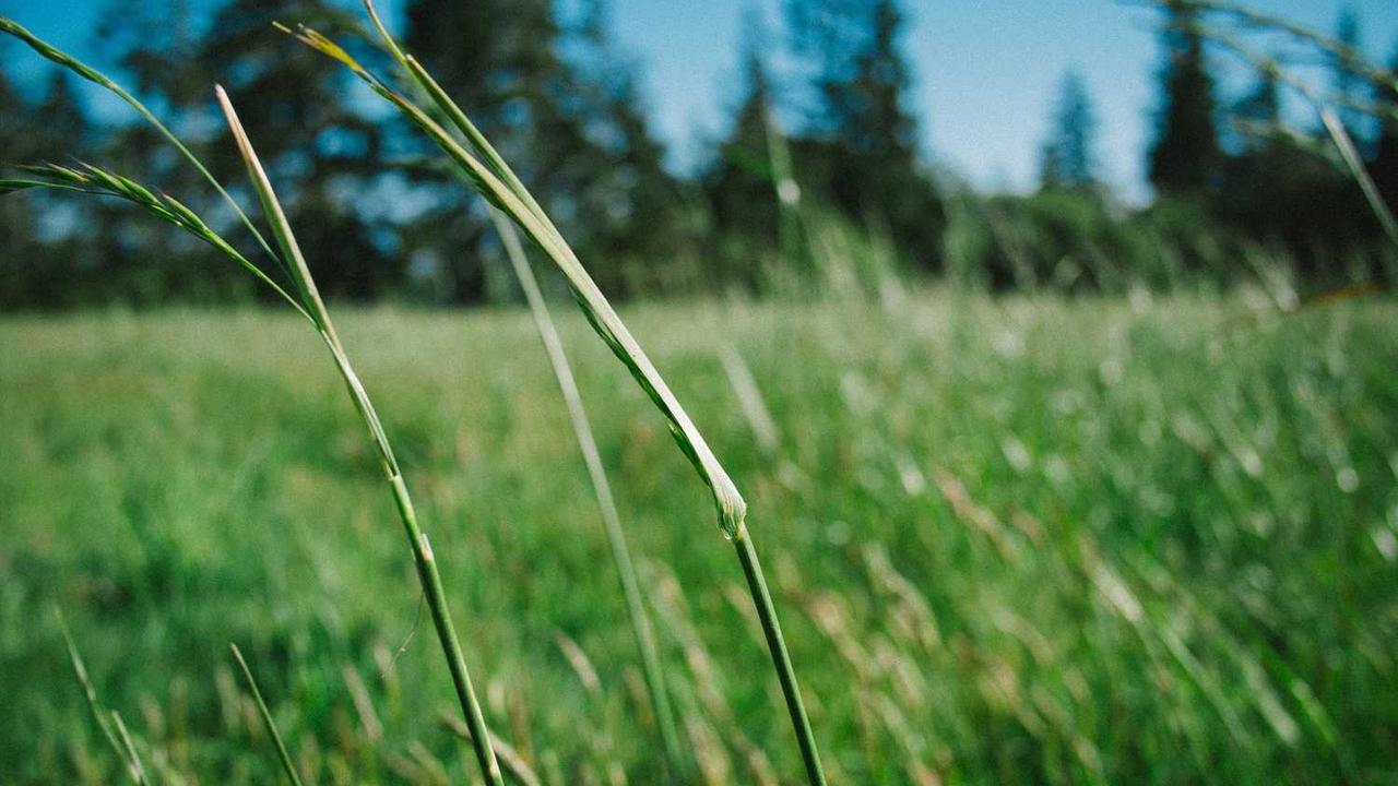 상위 1%의 기획력, 청와대 보고서 PPT 작성법 및 핵심 템플릿 가이드