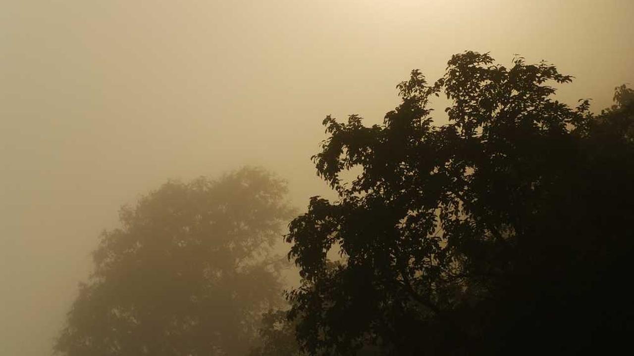 OpenSearch vs QuickSight: AWS 데이터 분석과 시각화 도구 완벽 비교 가이드