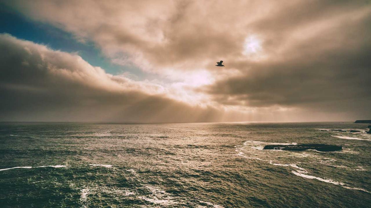 대전 유성온천 여행 가이드: 효능부터 숙소 추천, 근처 맛집까지 완벽 정리