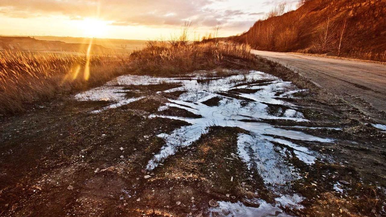 실링팬 효과 200% 활용하기: 전기세 절감부터 인테리어까지 완벽 가이드