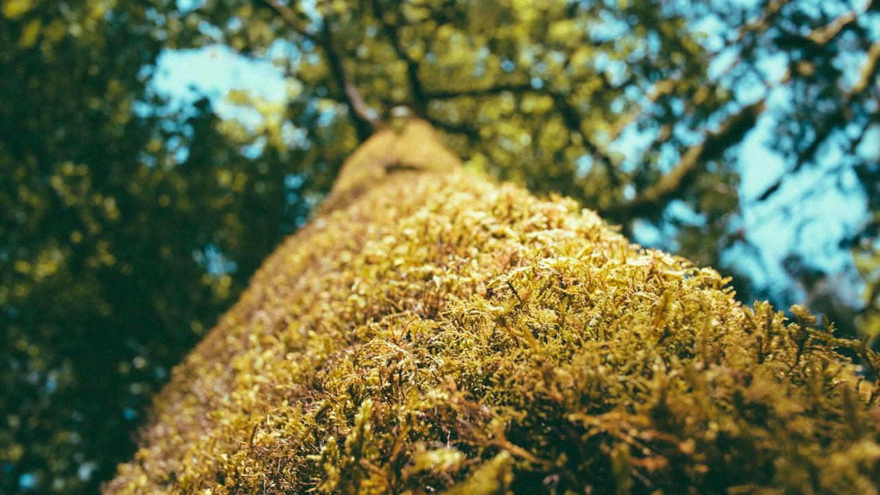 인천공항 1터미널 3층 완벽 가이드: 출국 절차부터 편의시설까지 한눈에 보기