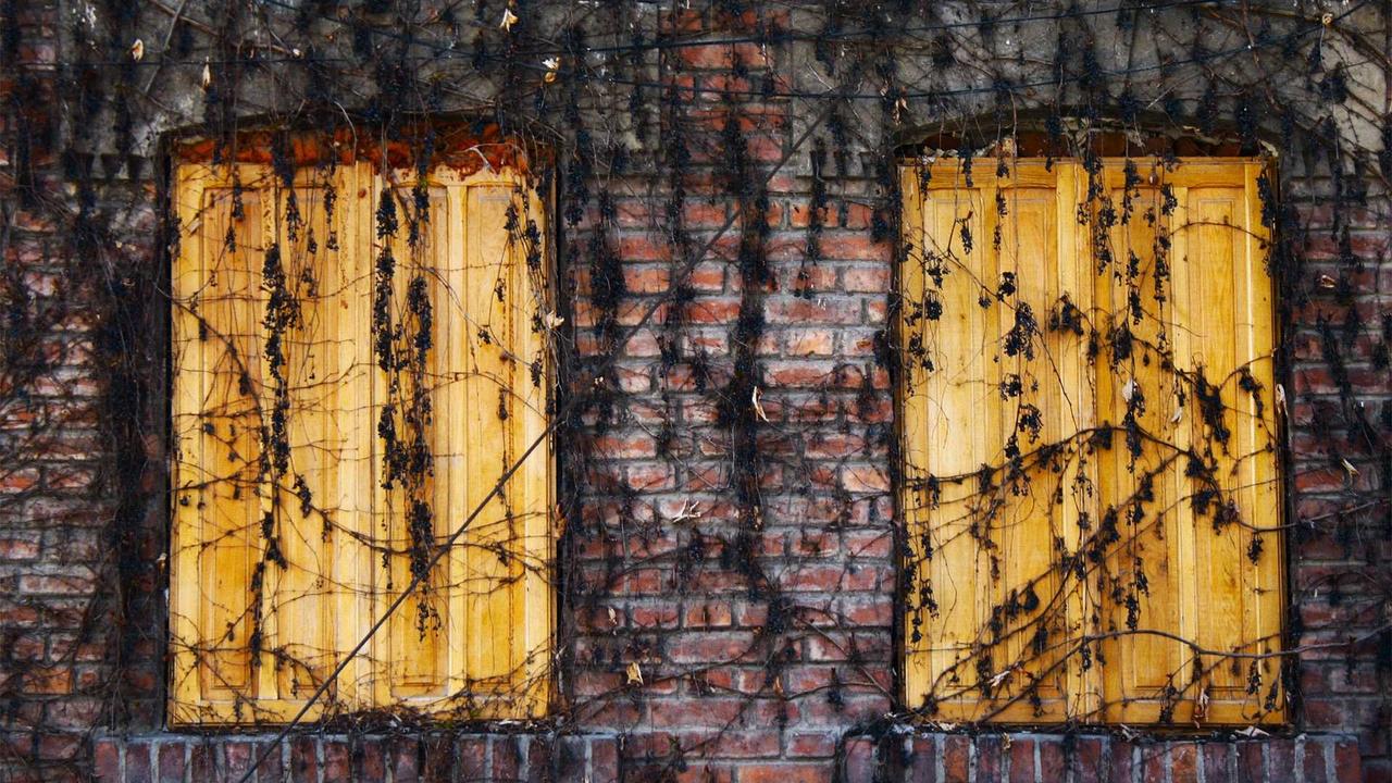 초보 캠퍼를 위한 캠핑카 준비물 체크리스트 2026: 완벽한 차박을 위한 필수템 가이드