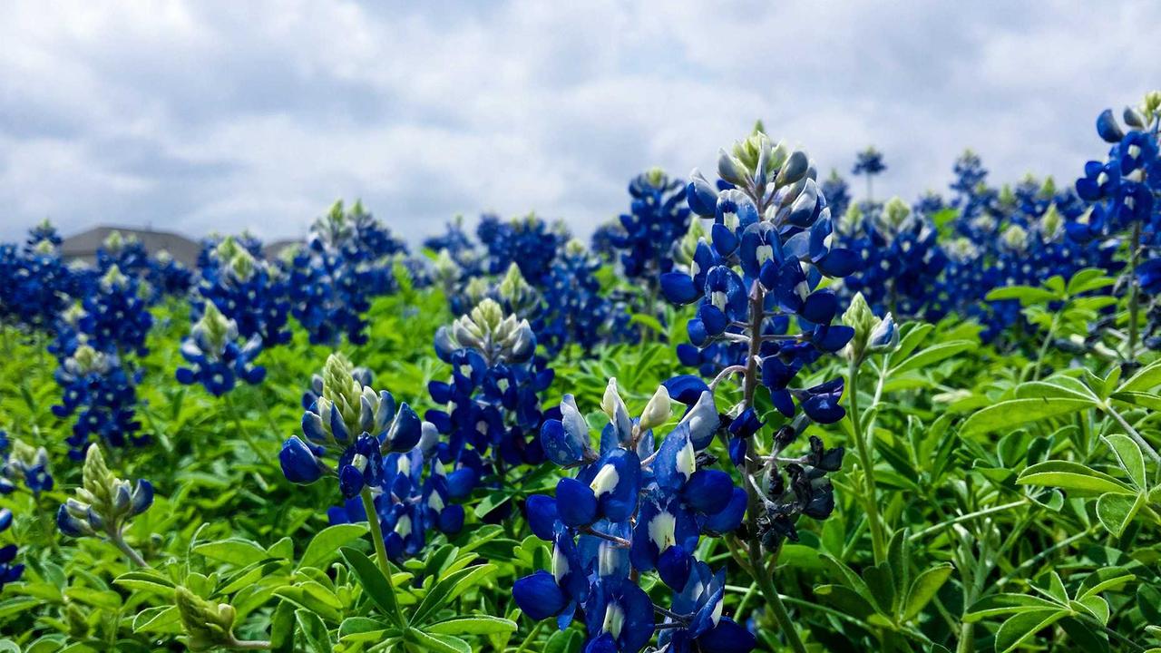 초보 캠퍼를 위한 캠핑카 준비물 체크리스트 2026: 완벽한 차박을 위한 필수템 가이드