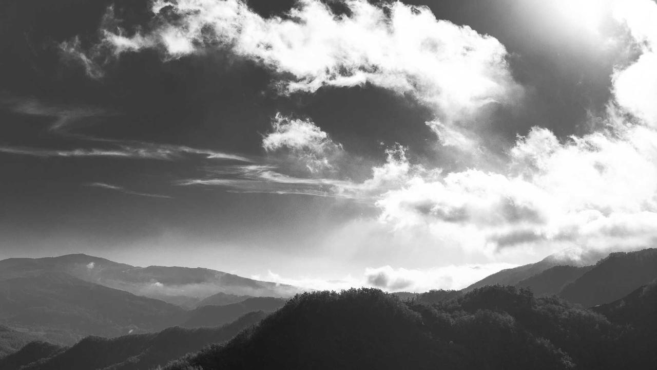 옆구리 통증(Flank Pain) CPX 완벽 가이드: 원인 진단부터 신체 검찰까지